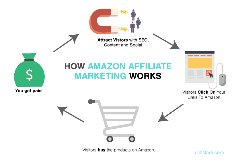 How to Build an Amazon Affiliate Store Using WordPress